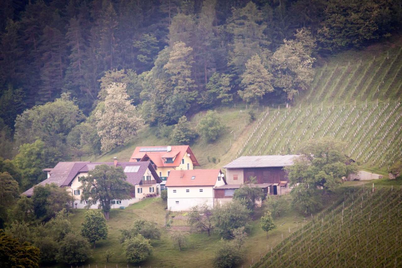 Ferienwohnung Weinbau Pronegg vlg. Krainz Leutschach Exterior foto